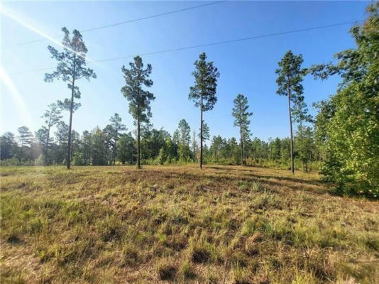 0 HWY 117 LOT 29 HIGHWAY, PROVENCAL, LA 71468 - Image 1