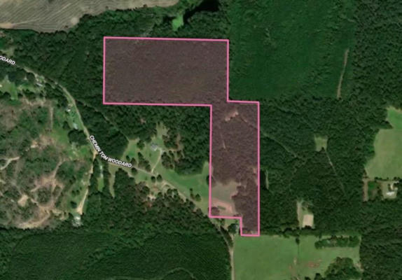 LOT 1 TOM WOODARD ROAD, ANGIE, LA 70426 - Image 1