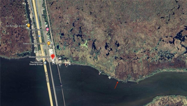 LOT 64B EAST JONES ISLAND WAY, AKERS, LA 70421 - Image 1