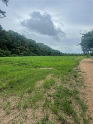 0 E LARGE RD ROAD, MANSURA, LA 71350 - Image 1