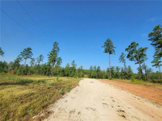 0 HWY 117 LOT 9 HIGHWAY, PROVENCAL, LA 71468, photo 4 of 5