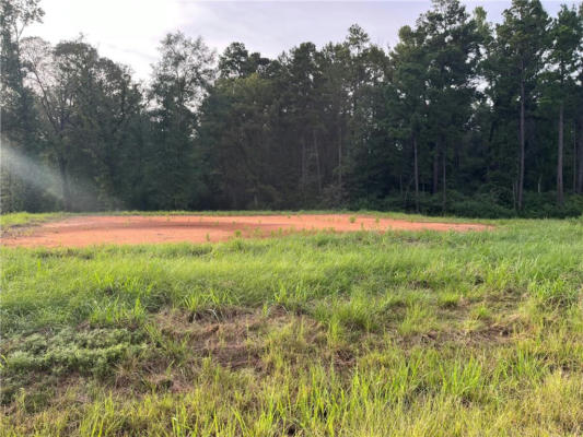 LOT 22 ARCHIE DRIVE, DRY PRONG, LA 71423 - Image 1