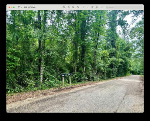 0 HWY. 440 & PETERSON RD. HIGHWAY, MOUNT HERMON, LA 70438 - Image 1