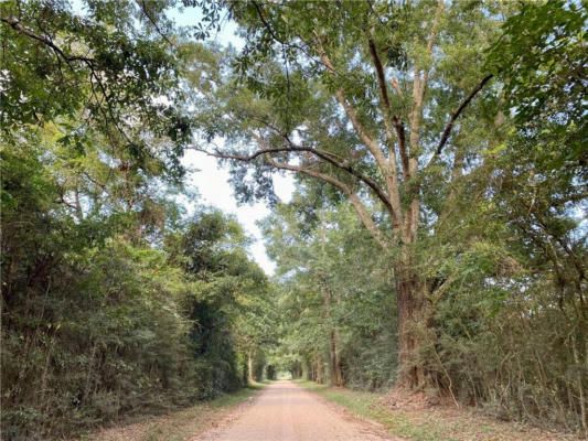 E STATELINE ROAD, SANDY HOOK, MS 39478 - Image 1