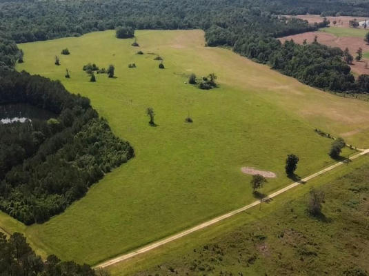 198 ACRES GLORIA ROAD, AMITE, LA 70422 - Image 1